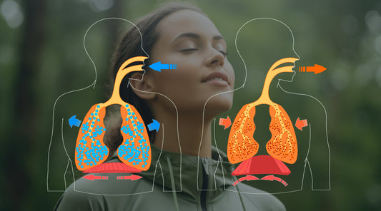 The Science of Breathing Better